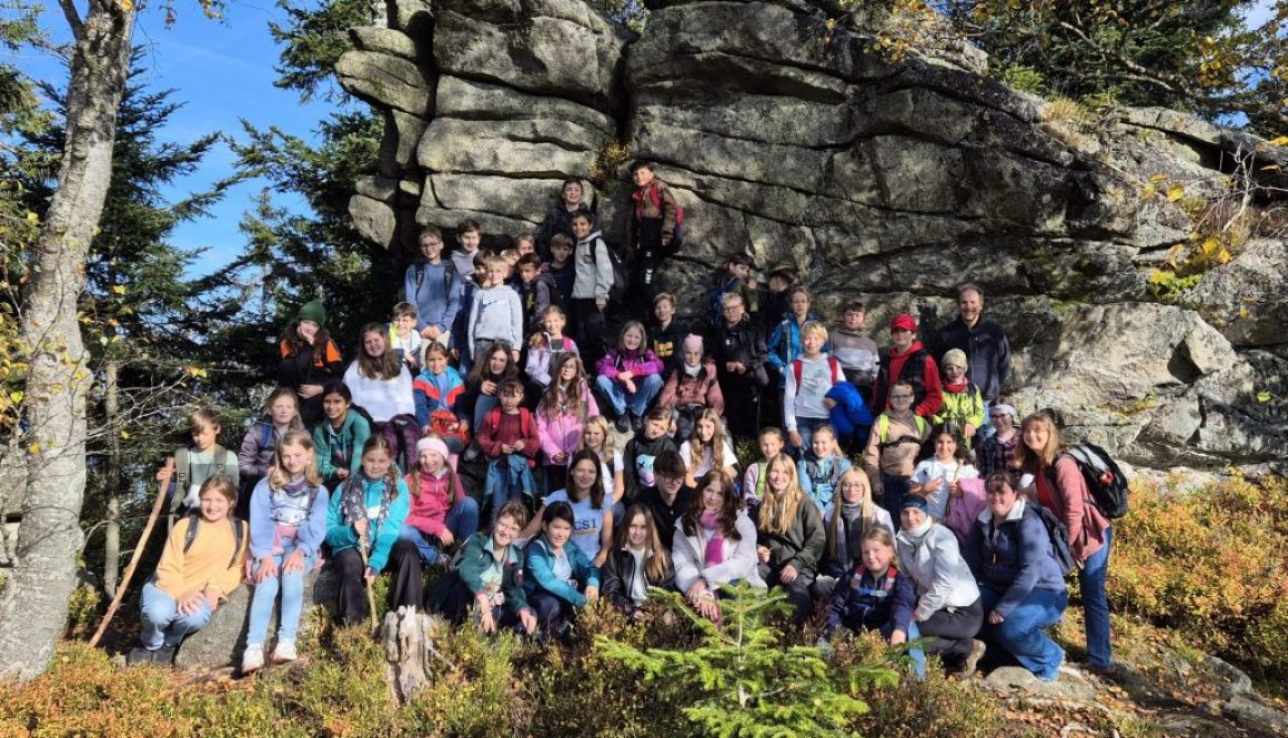 20251014_151015 20251014_151015