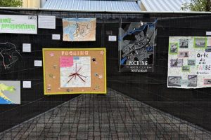 IMG_1141 IMG_1141